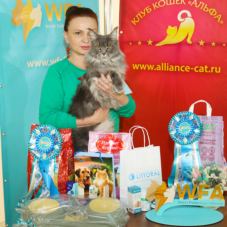 Выставка кошек Москва